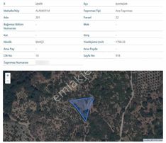 Jasse'den Satılık Tarla