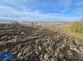 Bedrettin Delen Den Uzgur Da Yatırımlık Tarla Hissesi