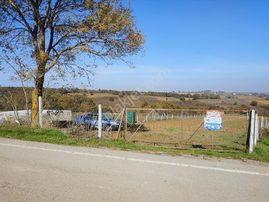 Kandıra Kırkarmut Da 6932 M2 Verimli Tarım Arazisi