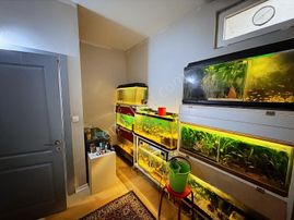 Etimesgut/bağlıca Satılık Daire, Yatırımlık, 2+1