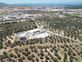 Ayvalık Mutluköy Yolu Üzerinde Satılık Zeytin İşleme Tesisi