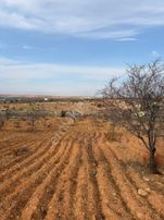 Oğuzelinde Resmi Yola Sıfır Tek Tapu