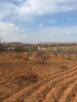 Oğuzelinde Resmi Yola Sıfır Tek Tapu