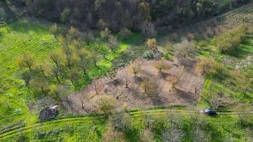 Kocaeli Karamürsel Akçat Satılık 1477 M2 Bakımlı Bahçe