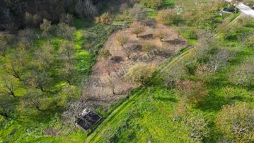 Kocaeli Karamürsel Akçat Satılık 1477 M2 Bakımlı Bahçe