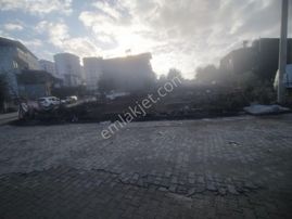 Yavuz Sultan Selim Satılık Köşe Arsa 3 Parsel