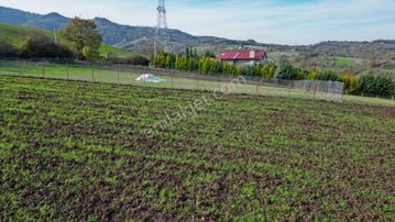 Uzmanlar’dan Karamürsel Kızderbent 1247 M² %5 İmarlı Satılık Tarla