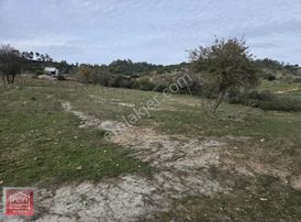 Milasta Satılık Arsa 2384m2