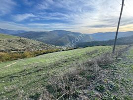 Evim-nur'dan Aşağıavdan Mh. 4650 M2 Yolu Var Manzaralı Tarla.