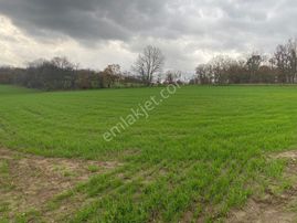 Kadastral Yolu Olduğu İçin Ev Yapmaya İzni Var