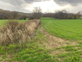 Kadastral Yolu Olduğu İçin Ev Yapmaya İzni Var