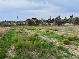 Antalya Manavgat Yavrudoğan Mahallesi Satılık Tarla