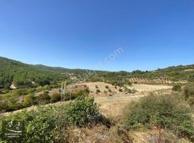 Soma Merkeze Yakın Mesafede 1500 M2 Satılık İmarlı Arsa