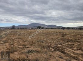 Kızılörende Ana Yola 250mt Mesafede Hazır Kurulu Düzen