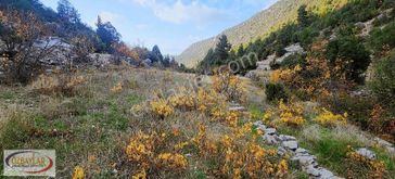 Antalya Akseki Sadıklarda Satılık Bağ Tapulu Arazi Kaçmaz