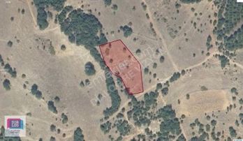 Revizyon'dan Sındırgı Mumcu Tek Tapu 2.918 M2 Arazi