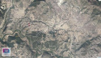 Revizyon'dan Sındırgı Mumcu Tek Tapu 3.493 M2 Arazi