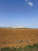 Emlakyap Tan Kazımkarabekirde Satılık 75 000 M2 Tarla