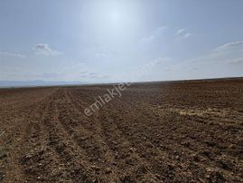 Emlakyap Tan Kazımkarabekirde Satılık 75 000 M2 Tarla