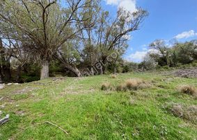 Fırsattt Meram Saglık Ta 2281 Mt Tek Tapu Yolu Olan Tarla
