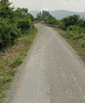 Bursa / İznik / Dereköy / 17 Dönüm Şeftali Nektarin Bahçesi