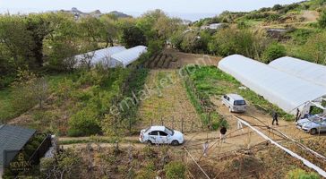 Sevinç'ten Sahil Yenicede Köy İçi Denize Yürüme Mesafesinde Yer