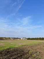 Saray Kadıköy İmarın Dibinde Fırsat Tarla