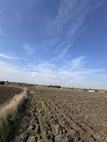 Saray Kadıköy İmarın Dibinde Fırsat Tarla