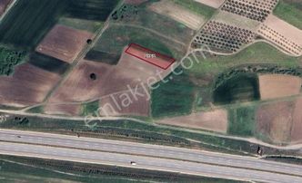 Hürriyet Köy Teknosaba Yakın Tek Tapu Yolu Olan Yatırımlık Arazi