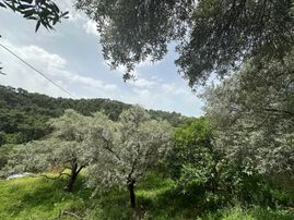 Final Emlak'tan Germencik Çarıklarda Köyiçi Arsa