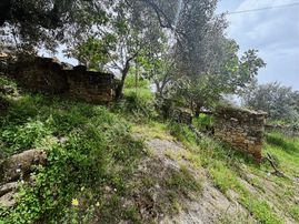 Final Emlak'tan Germencik Çarıklarda Köyiçi Arsa