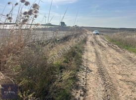 Kurul Gayrimenkulden Yumurtalık Şeyhganemde Yol Üzeri Tarla