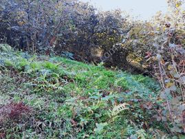 İzyap'tan Muhteşem Konumda Deniz Manzaralı Fındık Bahçesi