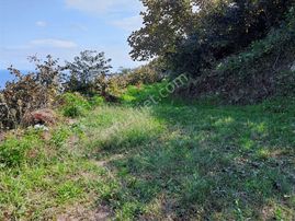 İzyap'tan Muhteşem Konumda Deniz Manzaralı Fındık Bahçesi