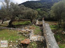 Yeni Foça'da Deniz Gören Satılık Arsa