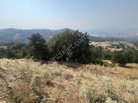 Dağyenice'de Satılık 556 M2 Tektapu Tarla