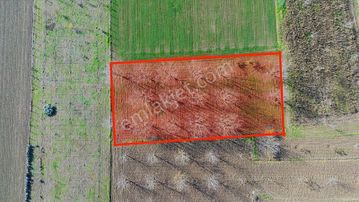 Arifiye Hacıköy Mah. 3040m2 Satılık Tarla