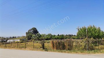 Taşköprü'de Kiralık 3 Dönüm Hobi Bahçesi / Tarla ( Yola Sıfır )