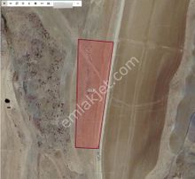 Ankara Bala Afşarda 4187m2 Tek Tapu Tarla Karadeniz Emlaktan