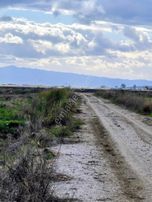 13 Dönüm Menemen Musa