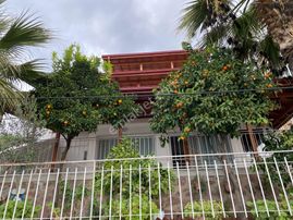 Ayvalık’ta Denize Sıfır Satılık 5+1 Tripleks