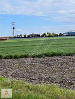 Tekirdağ Saray Demirler Mahalle Dibinde Uygun Kelepir Hisse