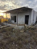 Müminli'de Tek Tapu 5207 M², Asfalt Kenarı, 180 Adet Zeytinli.