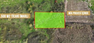 Tarcanlardan Tabela Değeri Yüksek 1.250 M² Mia İmarlı Arsa