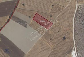 Burdur Bucak Gündoğdu Mah Satılık 2885 M2 Tarla