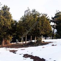 Kar Emlaktan Yeni Konacık Kırıntı Mevkiinde 725 M2 Arsa