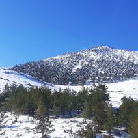 Kar Emlaktan Yeni Konacık Körmenlik Mevkiinde Bir Dönüm Arsa