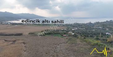 Hamamlıda Denize Yürüme Mesafesinde Satılık Arazi