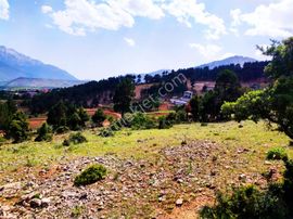 Yeni Konacık Bozkırlı Mevkiinde 400 Metrekare Arsa