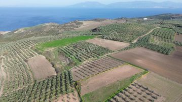Sevinç'ten Şirinçavuş'ta Muhteşem Deniz Manzaralı Satılık Arazi